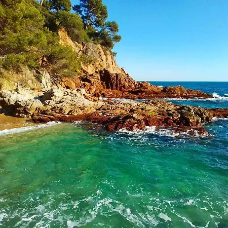 Max Willa Lloret de Mar