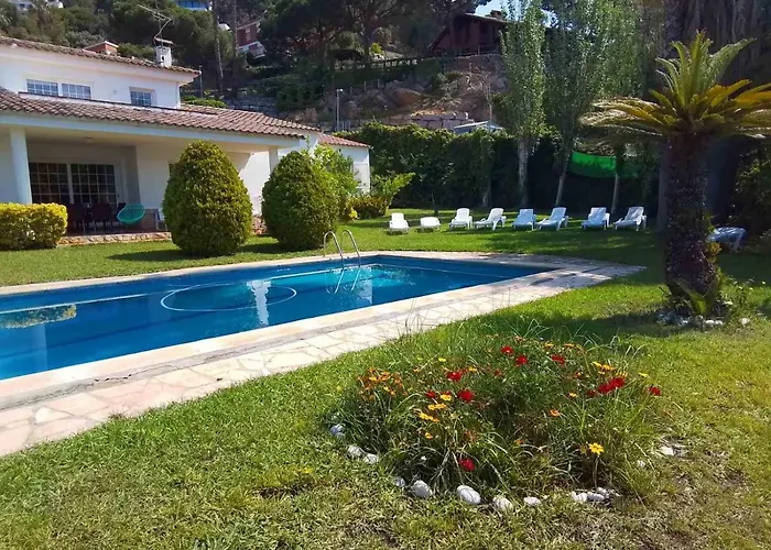فيلة Max يوريت دي مار