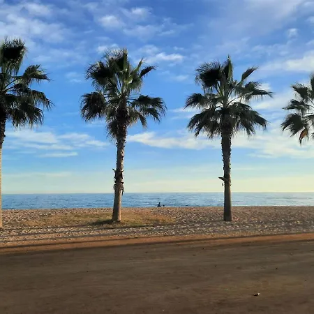 Max Lloret de Mar