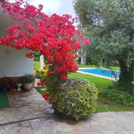 Max Villa *