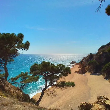 Villa Max Lloret de Mar