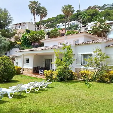 Max Lloret de Mar