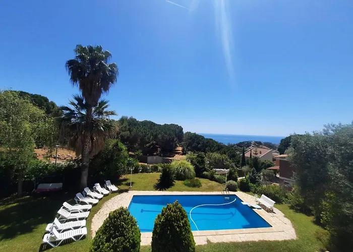 Max Lloret de Mar