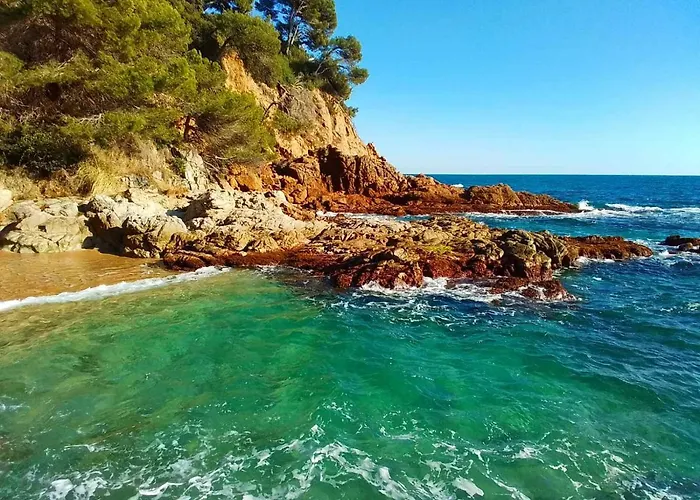 Max Villa Lloret de Mar