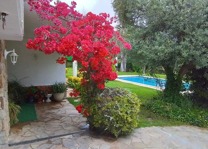 Max Villa *