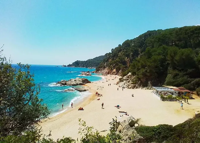 Max Villa Lloret de Mar