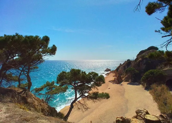 빌라 Max 료렛 드 마르